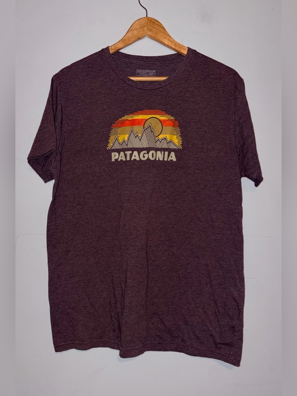 Patagonia Slim Fit T-shirt sz Xl
